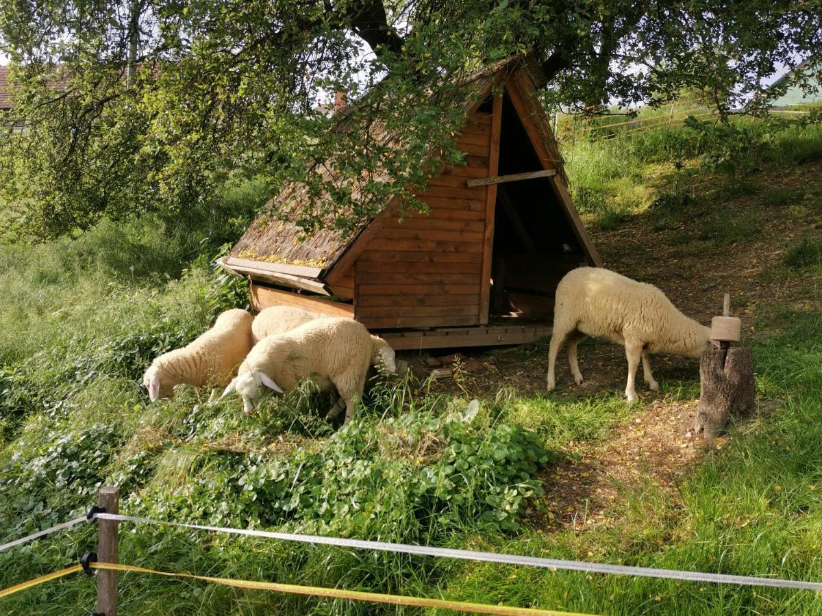 Camping Silva Ljutomer Kültér fotó