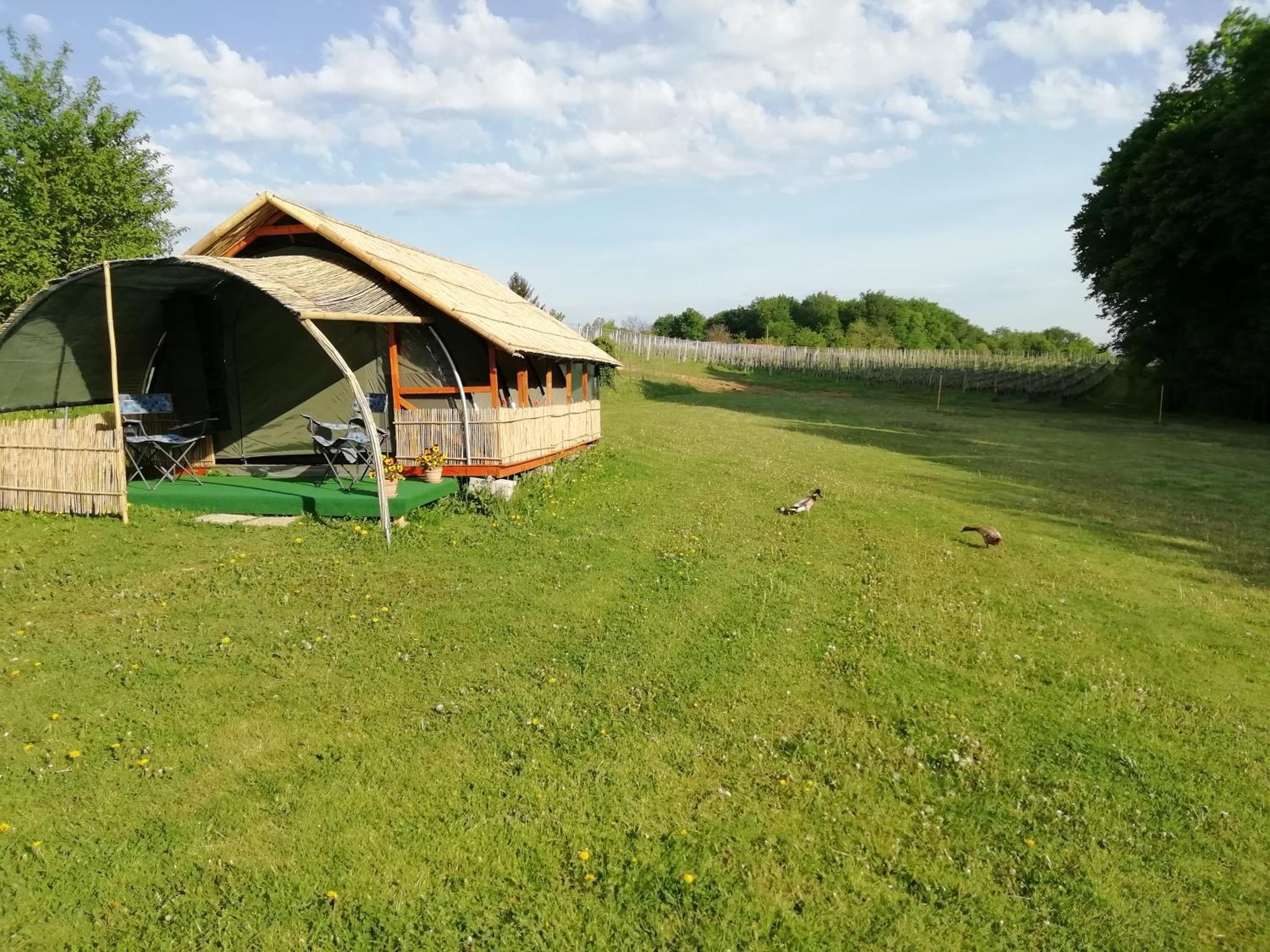 Camping Silva Ljutomer Kültér fotó